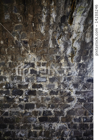 Former Tokaido Line Abandoned Tunnel 14288246