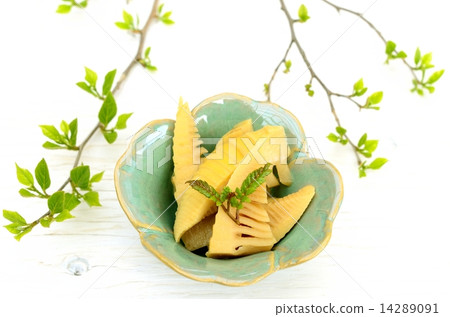 bamboo shoots 14289091