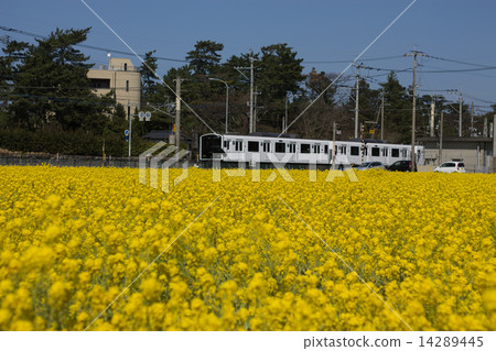 強姦花和火車2 14289445