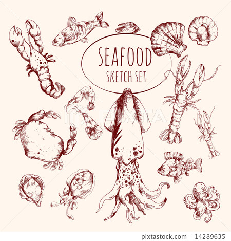 Seafood Sketch Set 14289635