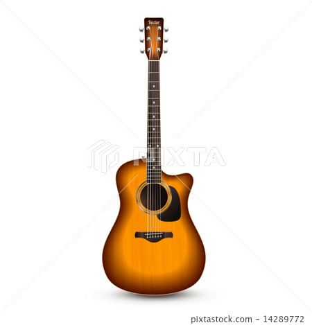 Guitar Realistic Isolated 14289772