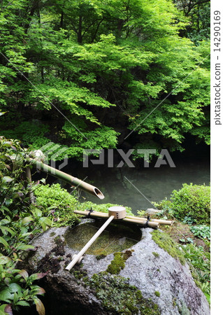 Rensaji Temple of Kyoto fresh green Rensaji Temple of Kyoto fresh green 14290169