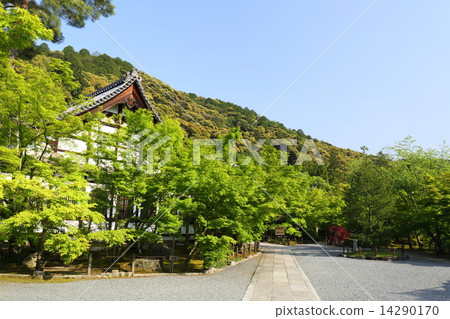 Eikan-do of Kyoto fresh green 14290170