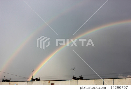 rainbow rainbow 14290797
