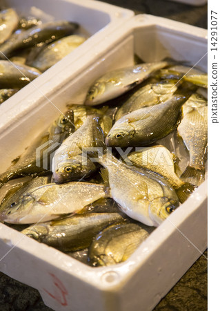 Uwitanago Uwitanago 14291077