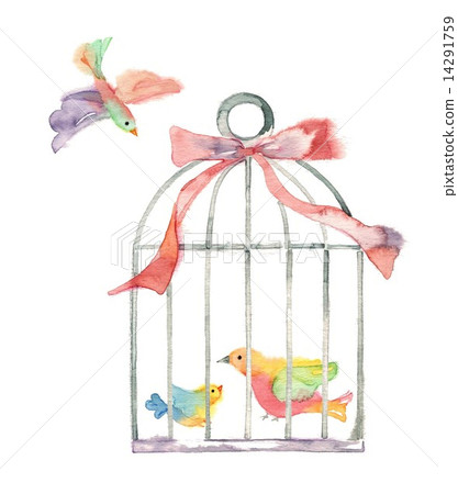 鳥籠和柔和色彩的鳥類 鳥籠和柔和色彩的鳥類 14291759