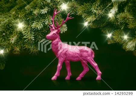 pink deer 14293299