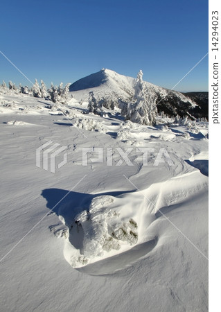 Winter landscape with Snezka mountain 14294023