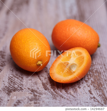 kumquat kumquat 14294687