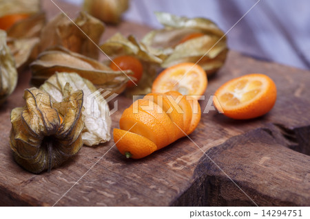 kumquat and physalis kumquat and physalis 14294751