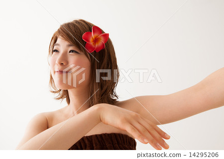 plumeria, hula dancing, huldance 14295206