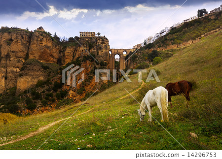 Day view of Ronda with Puente Nuevo bridge Day view of Ronda with Puente Nuevo bridge 14296753