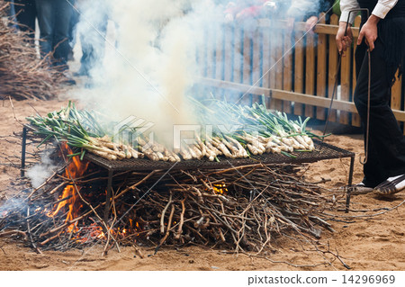 grilling calsot grilling calsot 14296969