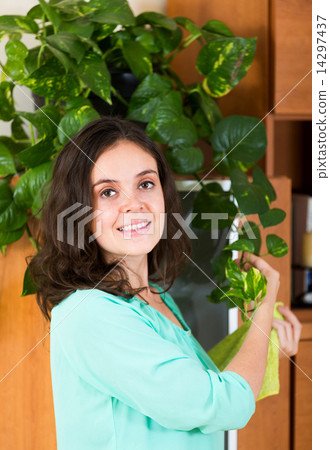 housewife with spray houseplant 14297437