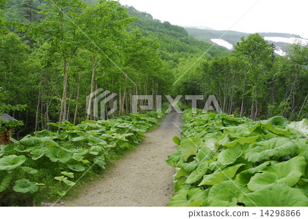 Akadake climbing road of the ginza side 14298866