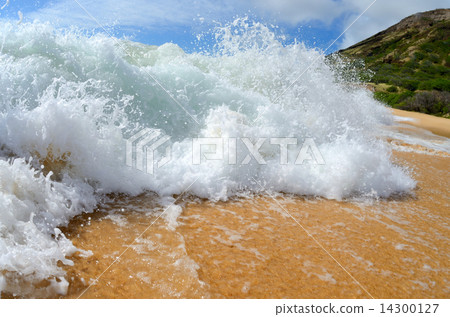 Wave 14300127