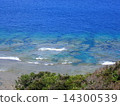 Okinawa East Coast 14300539