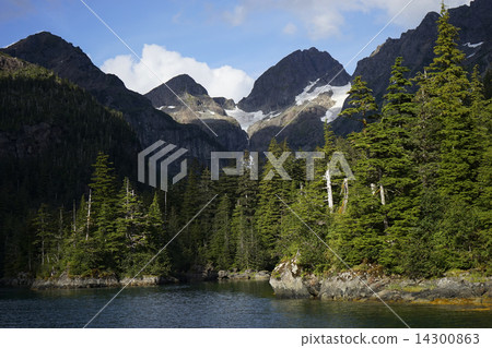 阿拉斯加的沿海風景 阿拉斯加的沿海風景 14300863