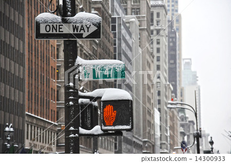 雪曼哈頓 14300933