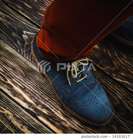 Blue suede shoes 14301617