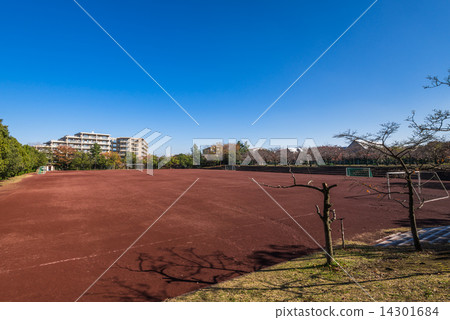 Residential area ground 14301684