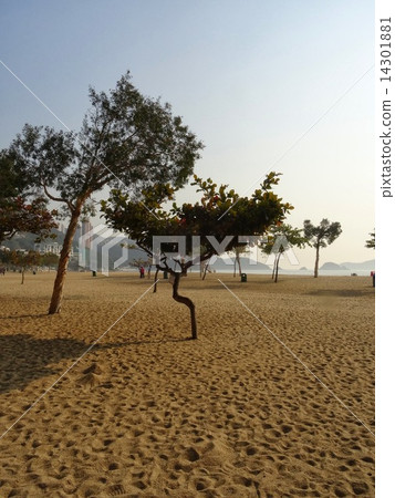 香港淺水灣 香港淺水灣 14301881
