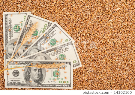 Agricultural income concept Agricultural income concept 14302160