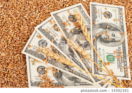 Agricultural income concept Agricultural income concept 14302161