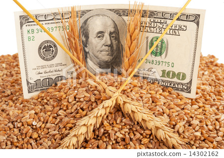 Agricultural income concept Agricultural income concept 14302162