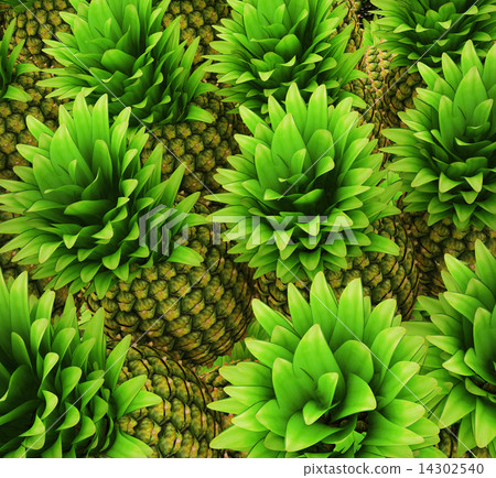 Pineapples background Pineapples background 14302540