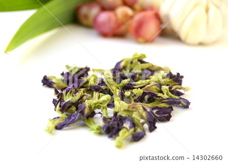 Blue pieces flower Blue pieces flower 14302660