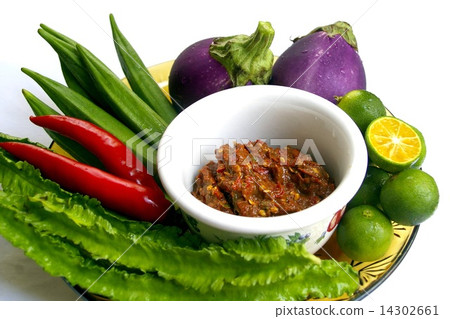 Sambar Brachan 14302661