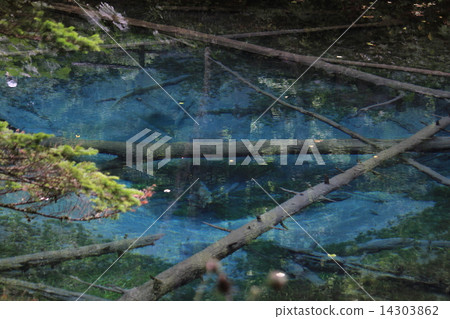 Hokkaido God's Pond Hokkaido God's Pond 14303862