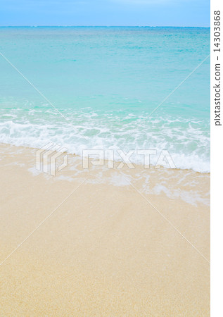 海浪沙灘 14303868