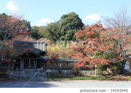 Minoo Shrine Minoo Shrine 14303940