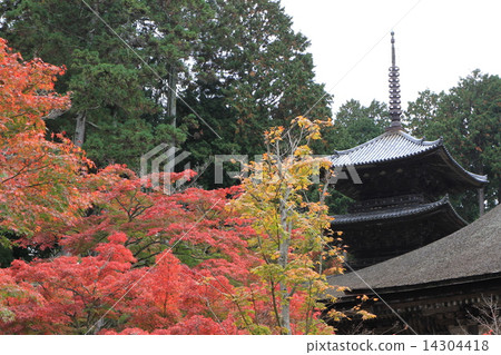 Jorakuji 14304418