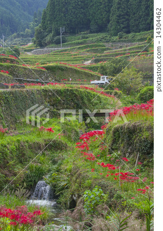 Melted rice terrace 14304462