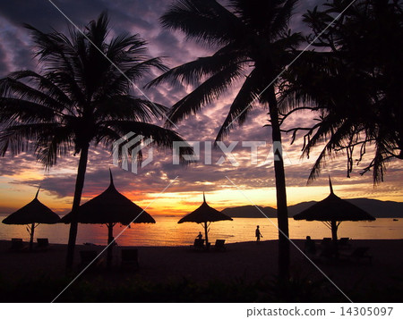 Dawn's beach in Vietnam 14305097