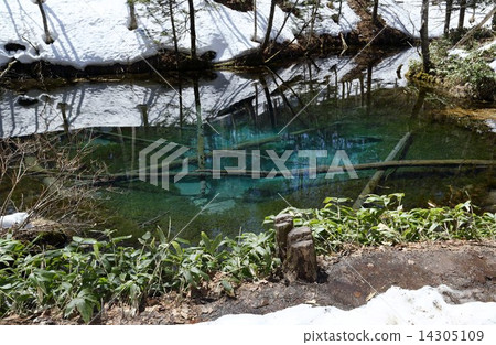 Mysterious pond reflection Mysterious pond reflection 14305109