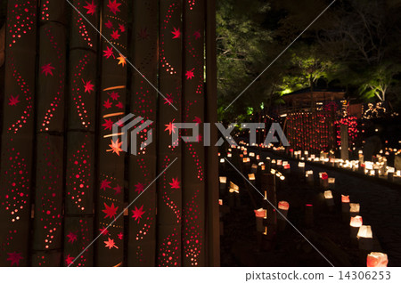 清水竹光 14306253