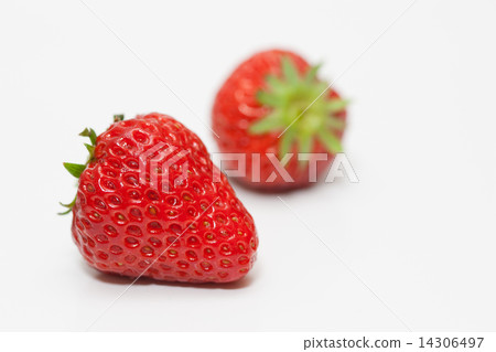 成熟的草莓 成熟的草莓 14306497