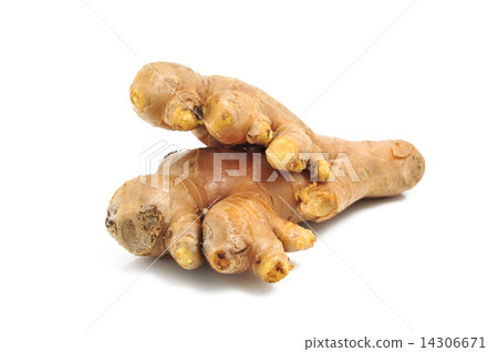 Ginger 14306671