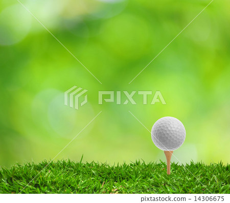 Tee Off Tee Off 14306675
