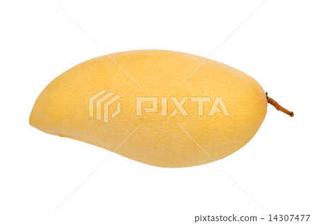 mango mango 14307477
