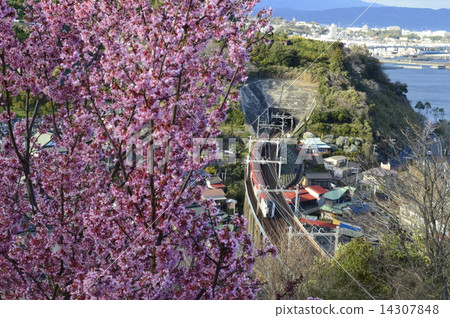 Sakura和Marine Express Odoriko Sakura和Marine Express Odoriko 14307848