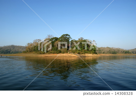 lake, Periyar National Park, Kerala, India 14308328