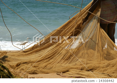 fishing net on the ocean. Kovalam, Kerala, South India 14308442