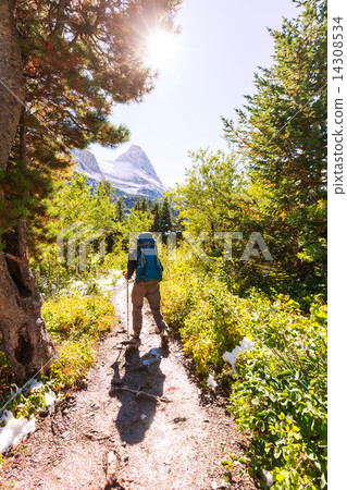 Hike in Glacier 14308534