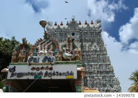 Suchindram temple dedicated to the gods Shiva, Vishnu and Brahma 14309078