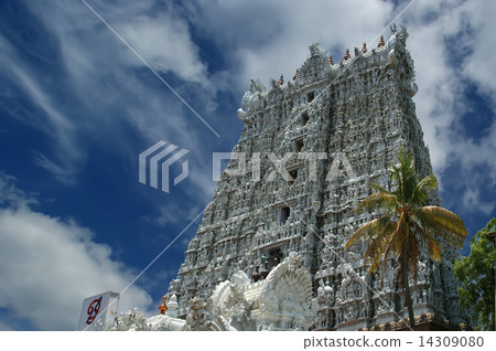 Suchindram temple dedicated to the gods Shiva, Vishnu and Brahma 14309080